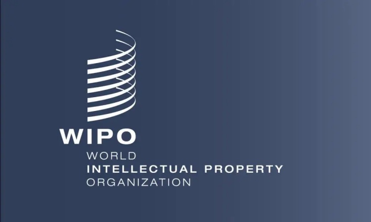申长雨被提名WIPO副总干事